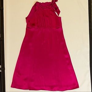 Ann Taylor Fushia Formal Silk Dress